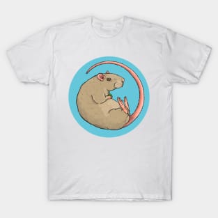 Fawn Pet Rat Illustration T-Shirt